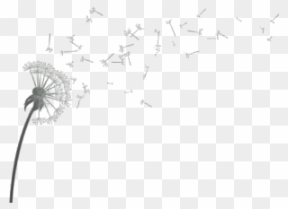 Dandelion Clipart Dandelion Wish - Drawing - Png Download