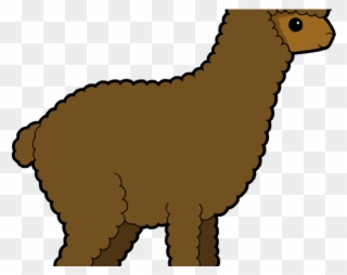 Transparent Stock Drawn Free On Dumielauxepices - Cartoon Llama Png Clipart