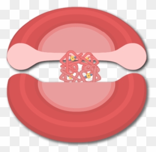 Svg Library Stock Blood Cell Clipart - Red Blood Cell - Png Download
