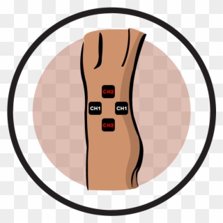Electrode Pad Placement By Body Part Part - Electrical Muscle Stimulation Clipart