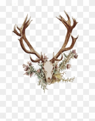Antlers And Flowers Png Free - Deer Antler And Flower Tattoo Clipart