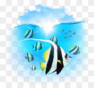 Marine Biology Clipart Computer Icons Clip Art - Little Fish - Png Download