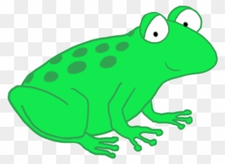 Frog Clip Art - Toad Cartoon Transparent Background - Png Download