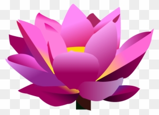 Lotus Flower Graphic Png - Lotus Flower In Png File Clipart