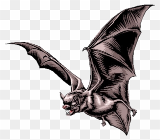 Boo - Vampire Bat Clipart