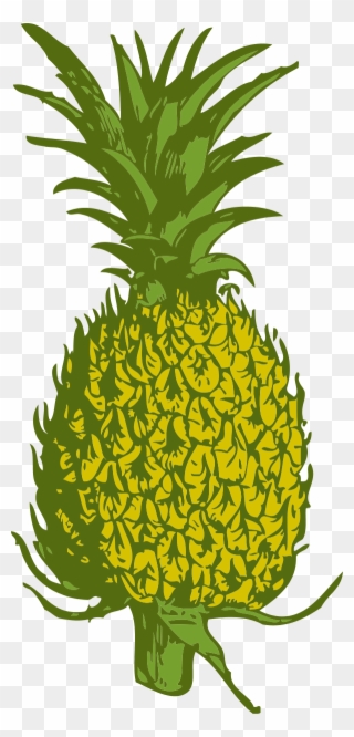 Vector Clip Art - Pineapple Black And White Clip Art - Png Download
