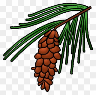 Pine Tree Clipart State - Pine Cone Tree Clipart - Png Download