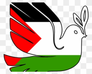 Peace Dove Clipart Palestine - Palestina Paz - Png Download
