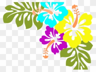 Library Clipart Borders - Hawaiian Flowers Transparent Background - Png Download