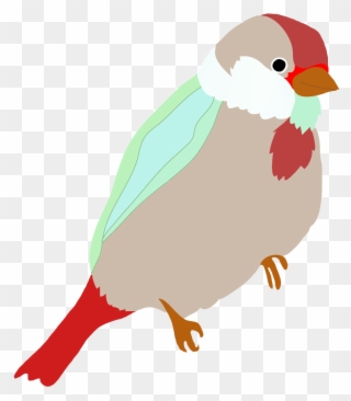 Robin Clipart Drawn - Bird Transparent Color Drawing - Png Download