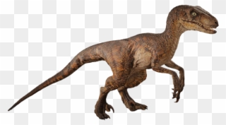 Jurassic Park Png - Jurassic Park Raptor Png Clipart