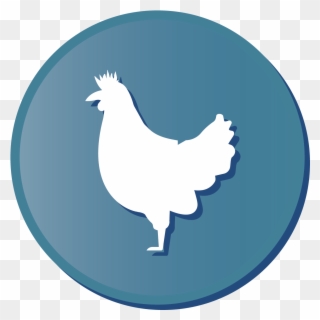 Currently Currie's Corner Farm Has Approximately 90 - Rooster Clipart