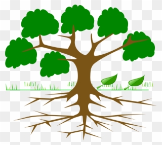 Tree Clipart With Roots - Png Download