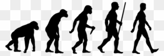 Anthropology Mains Answer Writing - Theory Of Evolution Clipart - Png Download