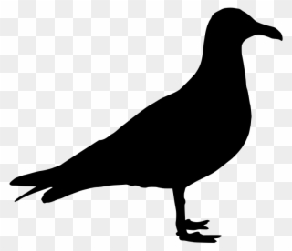 Download Png - Seagull Png Silhouette Clipart