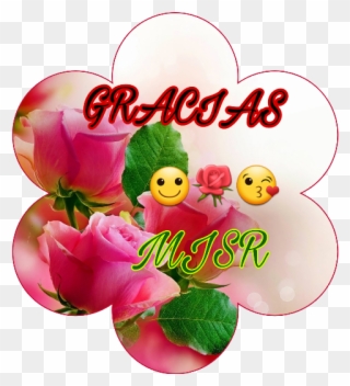 Red Rose Good Morning Clipart