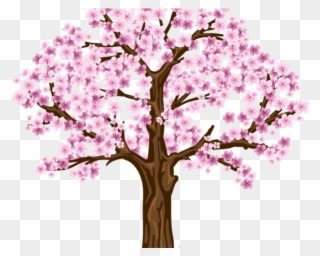 Transparent Cherry Blossom Tree Clip Art - Png Download