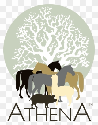 Athena Herd An International Learning And Development - Cartar De Um Jardineiro Clipart