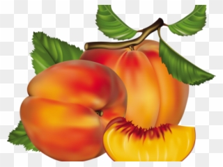 Peach Clipart Chico - Peach Fruit - Png Download