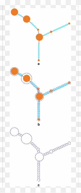 The Compressed Graph Mapped To An Rna Structure - Illustration Clipart