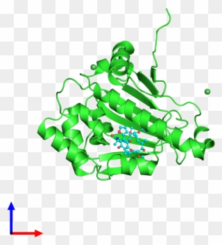 Pdb 4asf Coloured By Chain And Viewed From The Front - Graphic Design Clipart