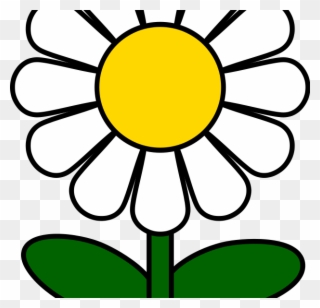 Cartoon Daisy Flower Free Daisy Images Download Free - Daisy Clip Art - Png Download