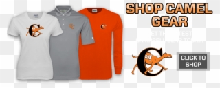 Campbell Fighting Camels And Lady Camels Clipart