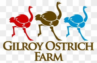 Gilroy Farm California S Largest Californias - Illustration Clipart