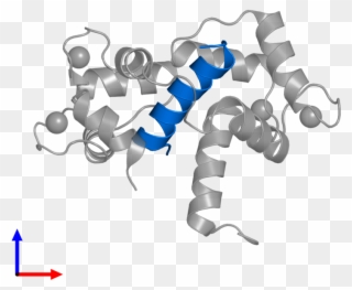 <div Class='caption-body'>pdb Entry 2o60 Contains 1 - Scorpion Clipart
