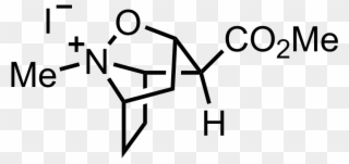 Intermediate Structure - Methionine Sulfoximine Clipart