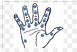 Location Of The 20 Fsr Sensors In Kargov Et Al - Kalmados Clipart