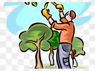 Hedges Clipart Hedge Trimming - Tree Trimming Clip Art - Png Download