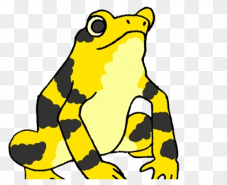 Toad Clipart Yellow Frog - Frog - Png Download