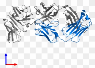 <div Class='caption-body'>pdb Entry 1sy6 Contains 1 - Illustration Clipart