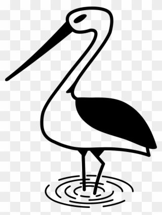 Stork Bird Nature - Stork Clipart