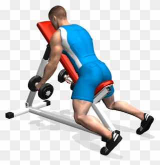 Bent Over Dumbbell Lateral Raise - Alzate A 90 Su Panca Clipart