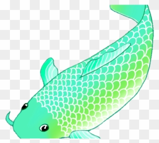 Blue Whale Clipart Colorful - Koi Fish Clipart - Png Download