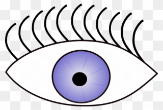 Clipart Of Vision, Eye The And Sense Sight View - Clipart Look - Png Download