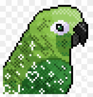 1200 X 1200 2 - Green Cheeked Conure Art Transparent Clipart