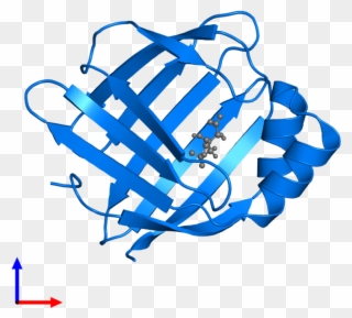 <div Class='caption-body'>pdb Entry 5gge Contains 1 - Graphic Design Clipart