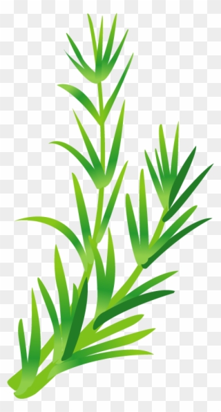 Leaf Vegetable Herb Green Leaves Transprent Png - Free Vector Frame Vegetable Clipart