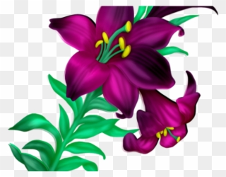 Lily Clipart Violet - Beautiful Flowers Clipart - Png Download