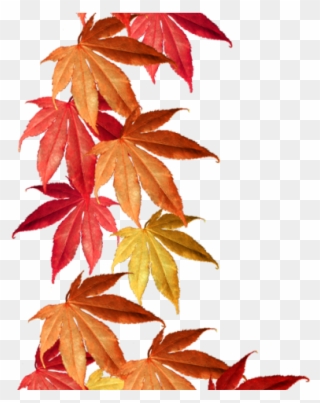 Maple Leaf Clipart Lef - Autumn Leaves Border Png Transparent Png