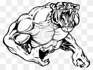 Tiger Clipart Muscle - Muscle Tiger - Png Download