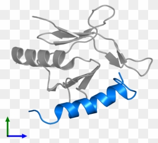 <div Class='caption-body'>pdb Entry 2mwn Contains 1 - Illustration Clipart