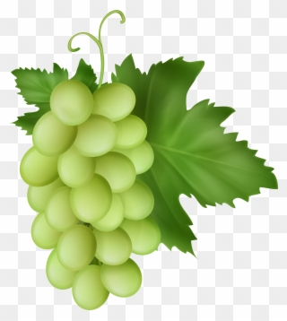 White Grapes Transparent Image - Seedless Fruit Clipart