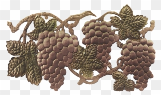 Grape Vine Png - Illustration Clipart