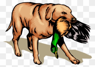 Vector Illustration Of Golden Lab Retriever Hunting - Dog With Bird In Mouth Clipart