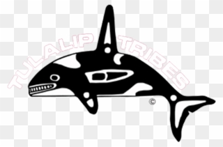 Clients Innovision Marketing Group The Anti Agency - Tulalip Tribes Of Washington Clipart