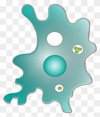 Location - Illustration Clipart